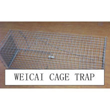 Lapin, Hare, Chat, Skunks, Raccoon, Ferrets Cage Traps